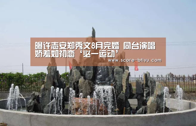曝许志安郑秀文8月完婚 同台演唱娇羞如初恋‘必一运动’(图3) 必一运动